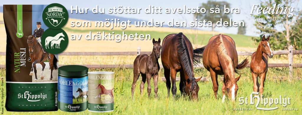 Månadens produkter mars