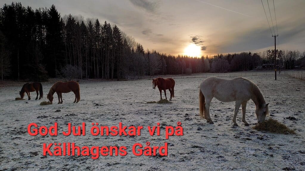 GOD JUL