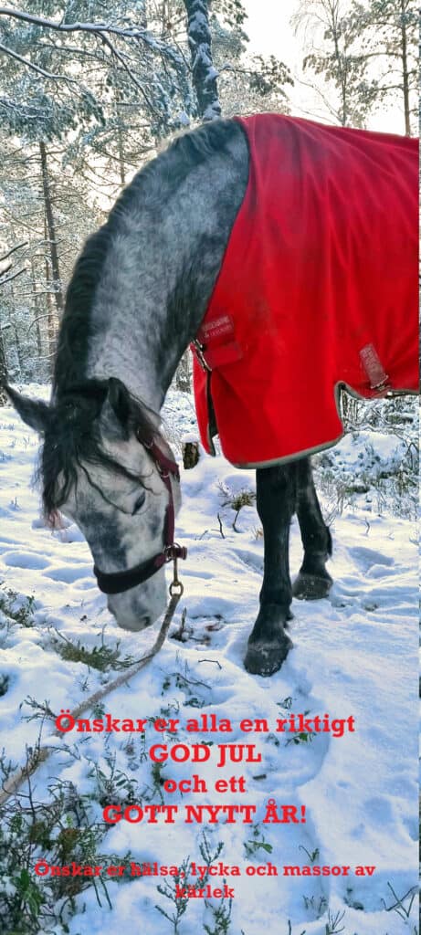 God Jul Darey händelse