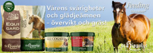 Månadens produkter maj